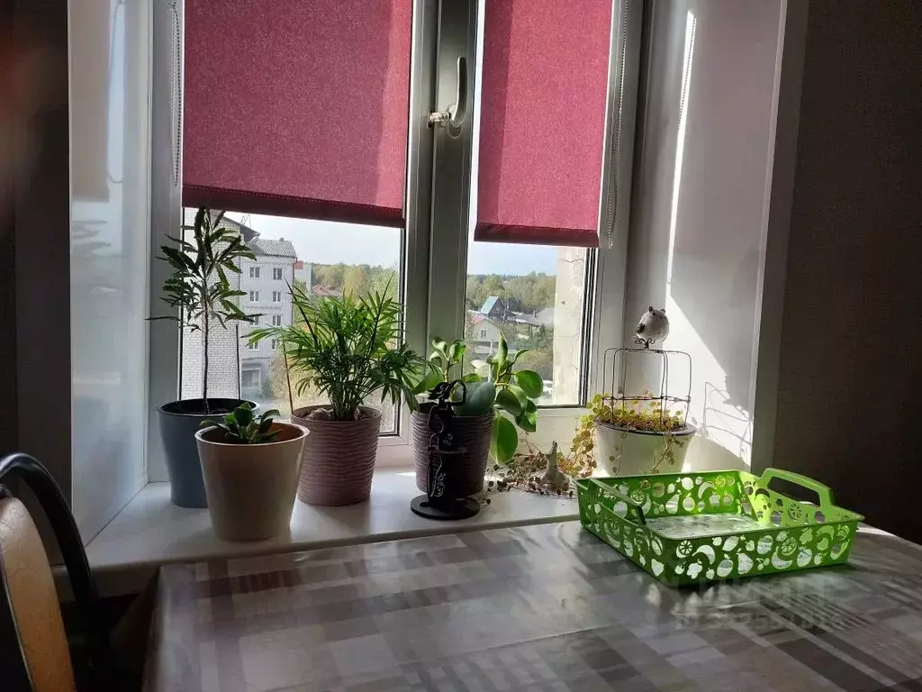 2-к кв. Владимирская область, Покров городской округ, пос. Вольгинский ... - Фото 2