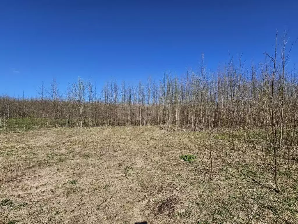 Участок в Коми, Сыктывдинский район, с. Выльгорт  (11.4 сот.) - Фото 0