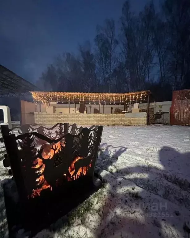 Дом в Московская область, Домодедово городской округ, д. Степыгино, ... - Фото 1