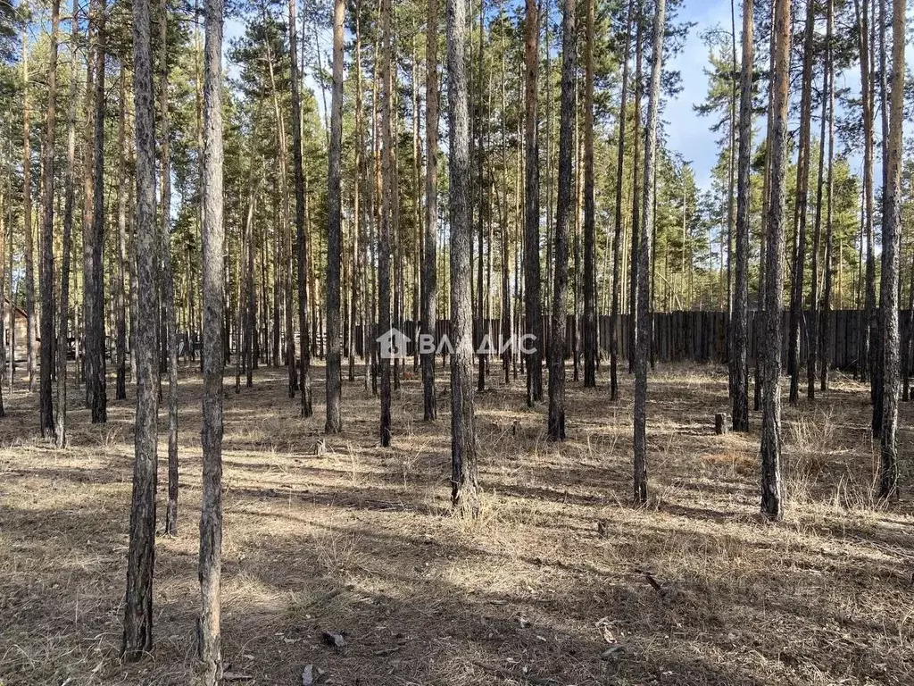 Участок в Бурятия, Улан-Удэ пос. Светлый,  (10.0 сот.) - Фото 2