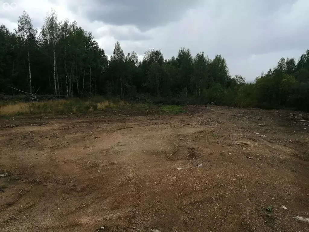 Участок в Губаха, Еловая улица, 1 (1408 м) - Фото 1