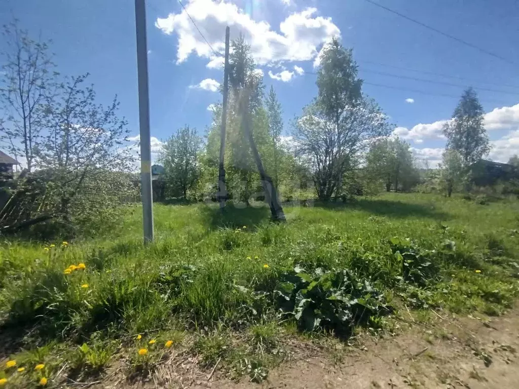 Участок в Костромская область, Шарья городской округ, д. Алешунино ... - Фото 2