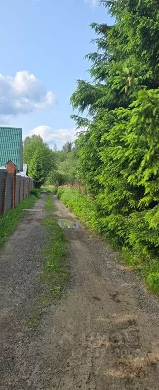 Участок, 214 сот., фермерское хоз-во - Фото 1
