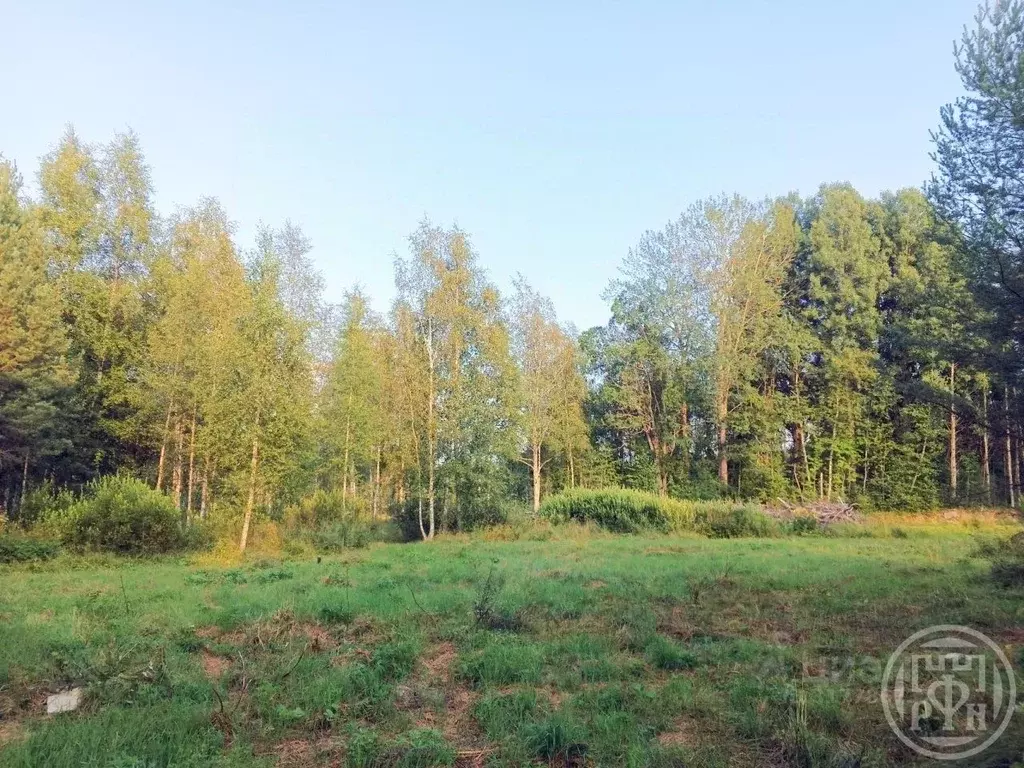 Участок в Ленинградская область, Выборгский район, Красносельское ... - Фото 1