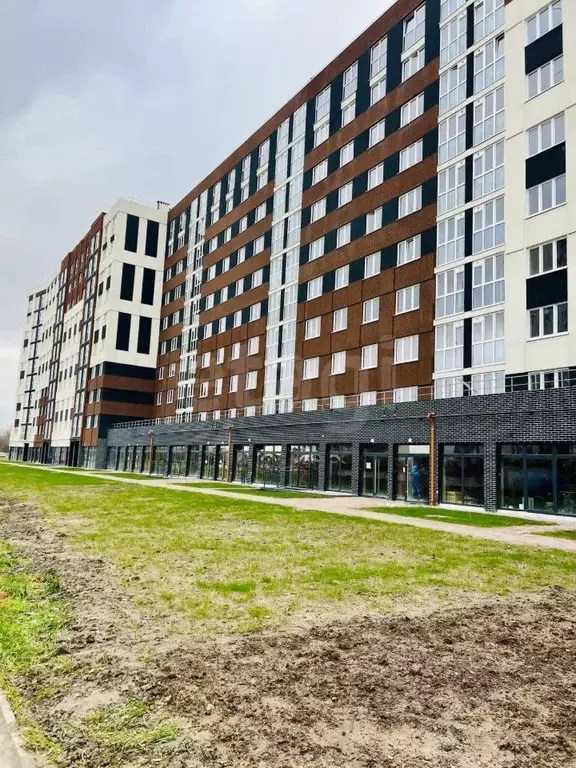 1-к кв. Калининградская область, Калининград Елизаветинская ул., 2 ... - Фото 1