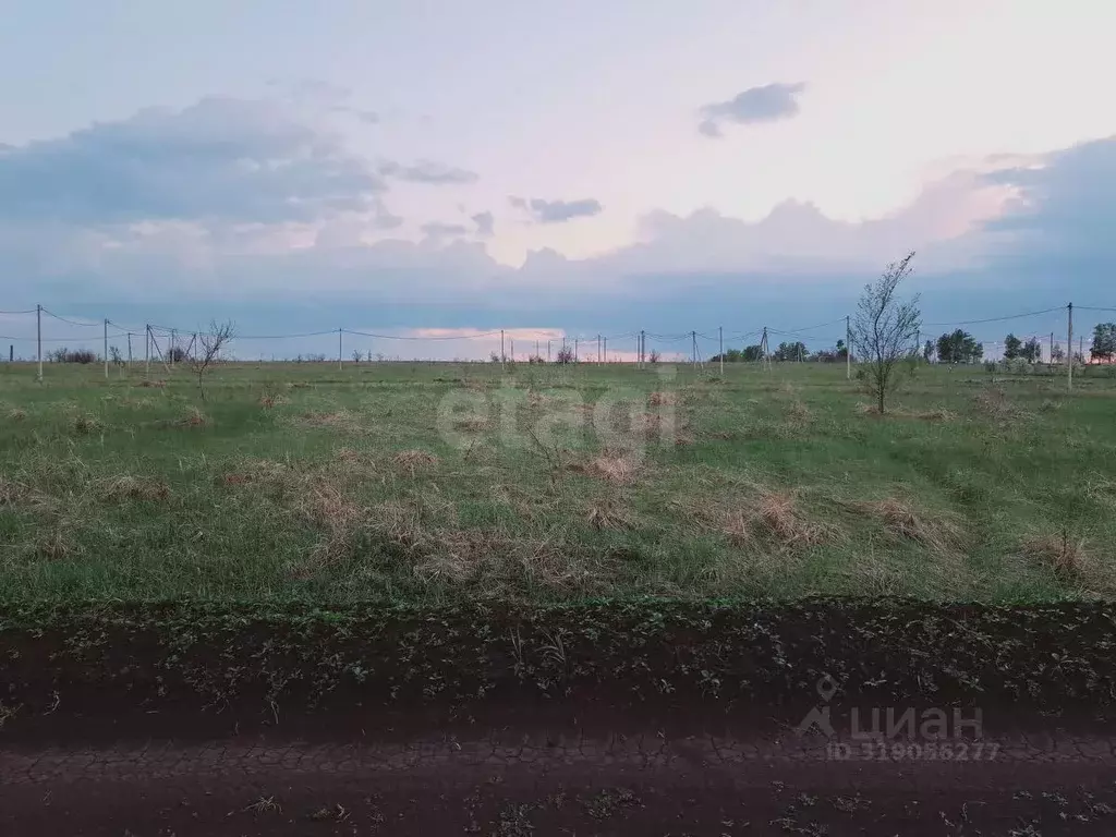 Участок в Саратовская область, Балашовский район, Хоперское ... - Фото 1