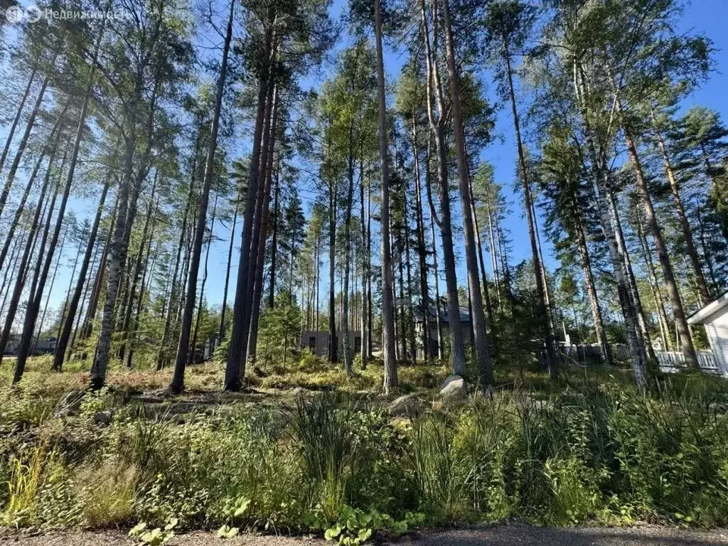 Участок в Токсовское городское поселение, коттеджный посёлок Экофорест ... - Фото 1