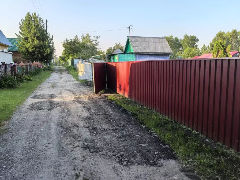 Участок в Новосибирская область, Новосибирский район, Новолуговской ... - Фото 1