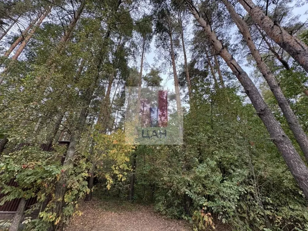 Участок в Московская область, Раменский муниципальный округ, д. ... - Фото 2