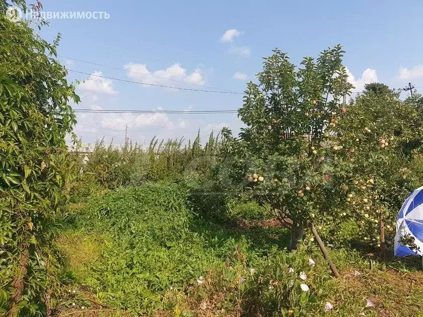 Купить Дом В Шорохово Тюменской Области