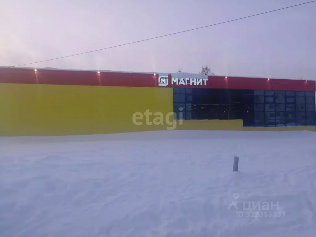 Торговая площадь в Ямало-Ненецкий АО, Новый Уренгой Лимбяяха мкр, ... - Фото 2