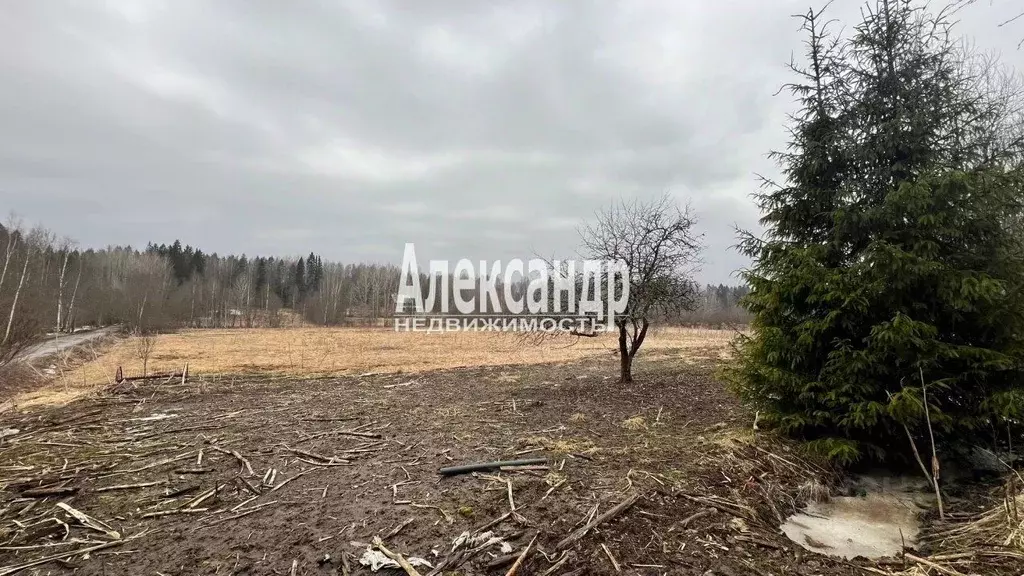 Участок в Ленинградская область, Выборгский район, Гончаровское с/пос, ... - Фото 1