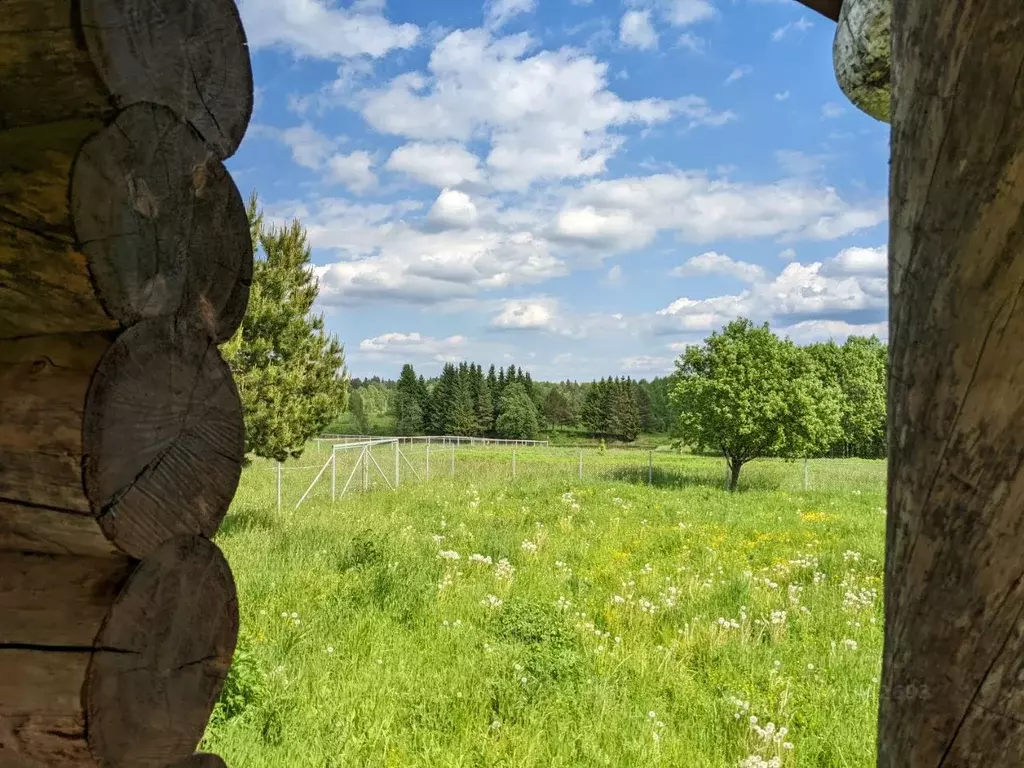 Дом в Московская область, Шаховская муниципальный округ, д. Косово ул. ... - Фото 2