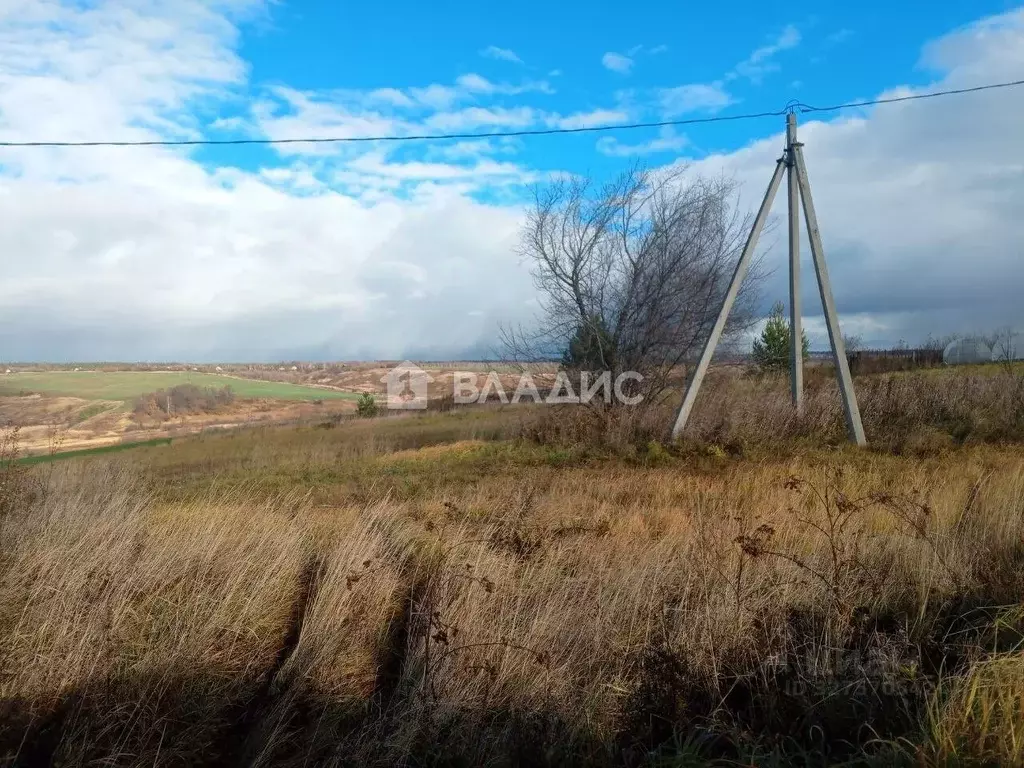 Участок в Нижегородская область, Богородский муниципальный округ, д. ... - Фото 2