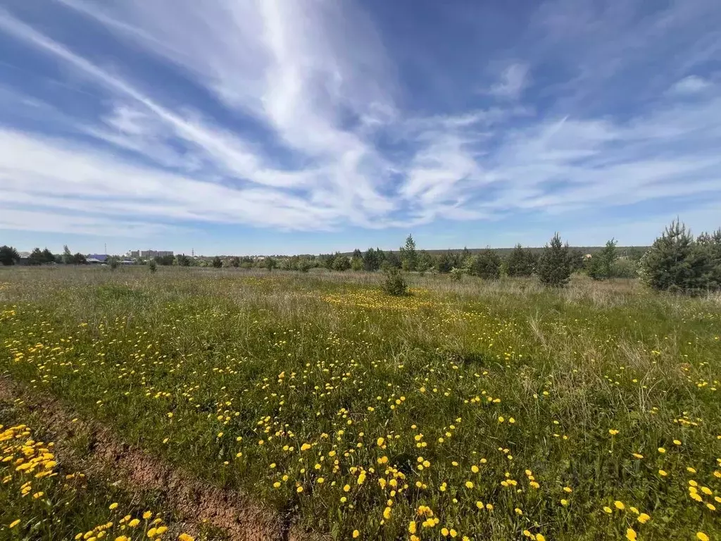 Участок в Свердловская область, Белоярский пгт ул. Просторная, 24 ... - Фото 2