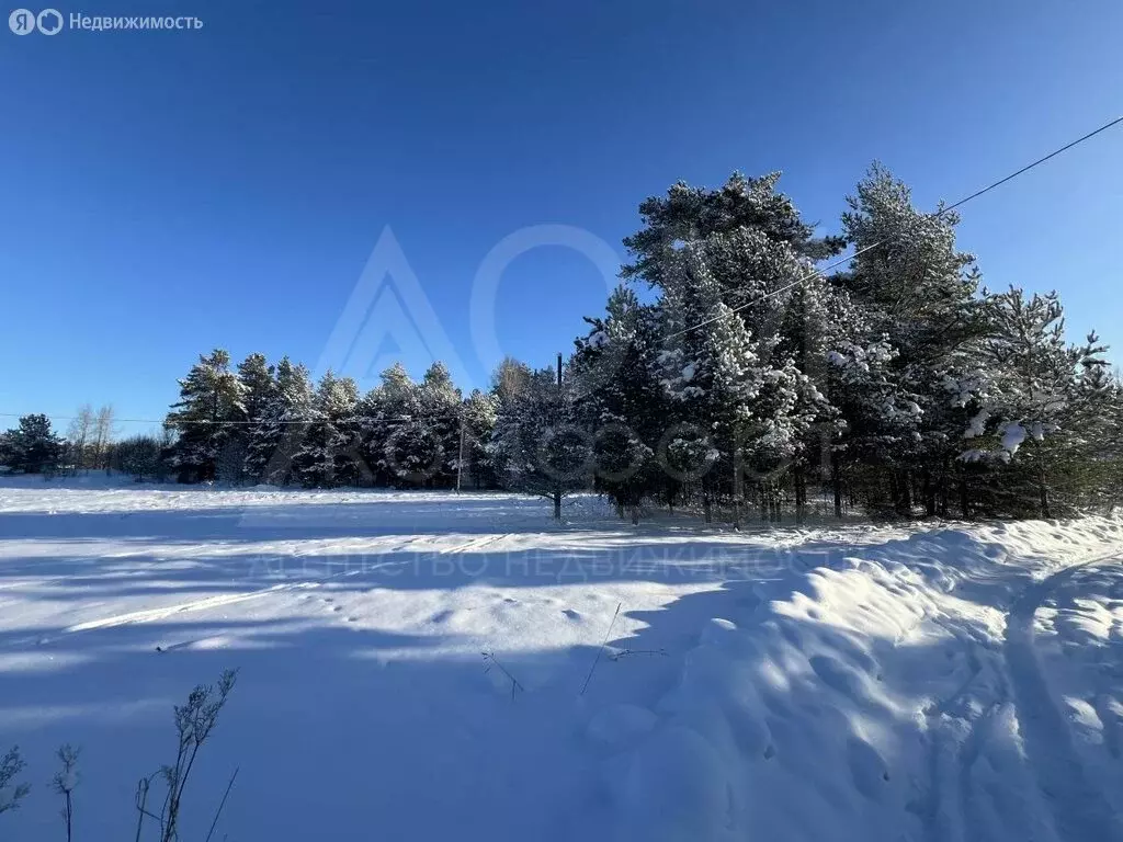 Участок в посёлок Быково, Центральная улица (15 м) - Фото 1