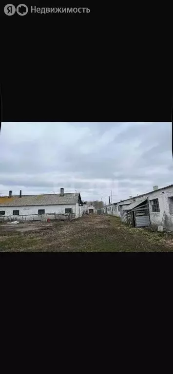 Помещение свободного назначения (370.8 м) - Фото 1