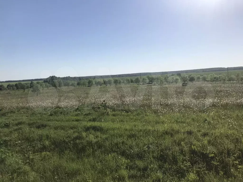 Участок 3,1 га (СНТ, ДНП) - Фото 0