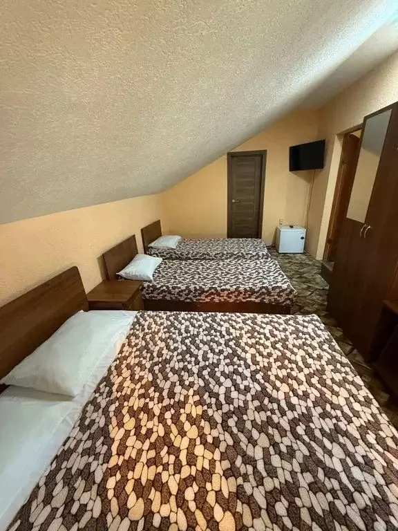 Комната Краснодарский край, Сочи ул. Декабристов, 165К - Фото 2