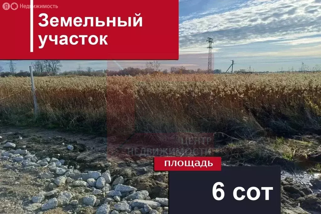 Участок в Калининградская область, Гурьевский муниципальный округ, ... - Фото 1