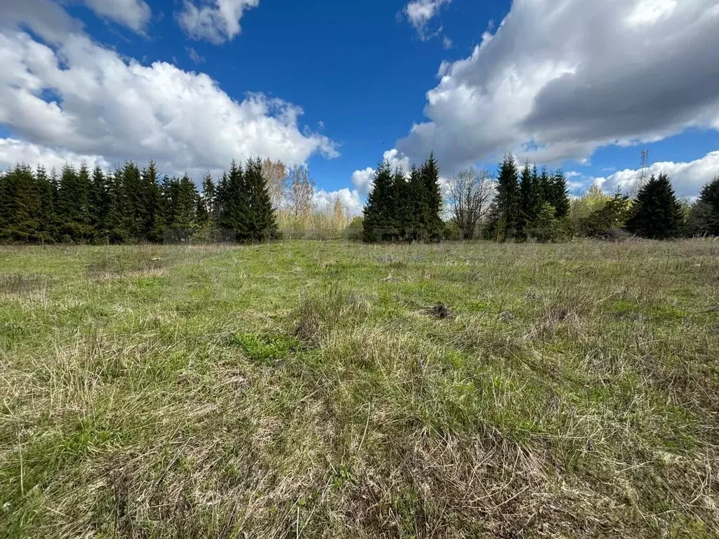 Участок в Новгородская область, Боровичский район, Опеченское с/пос, ... - Фото 1