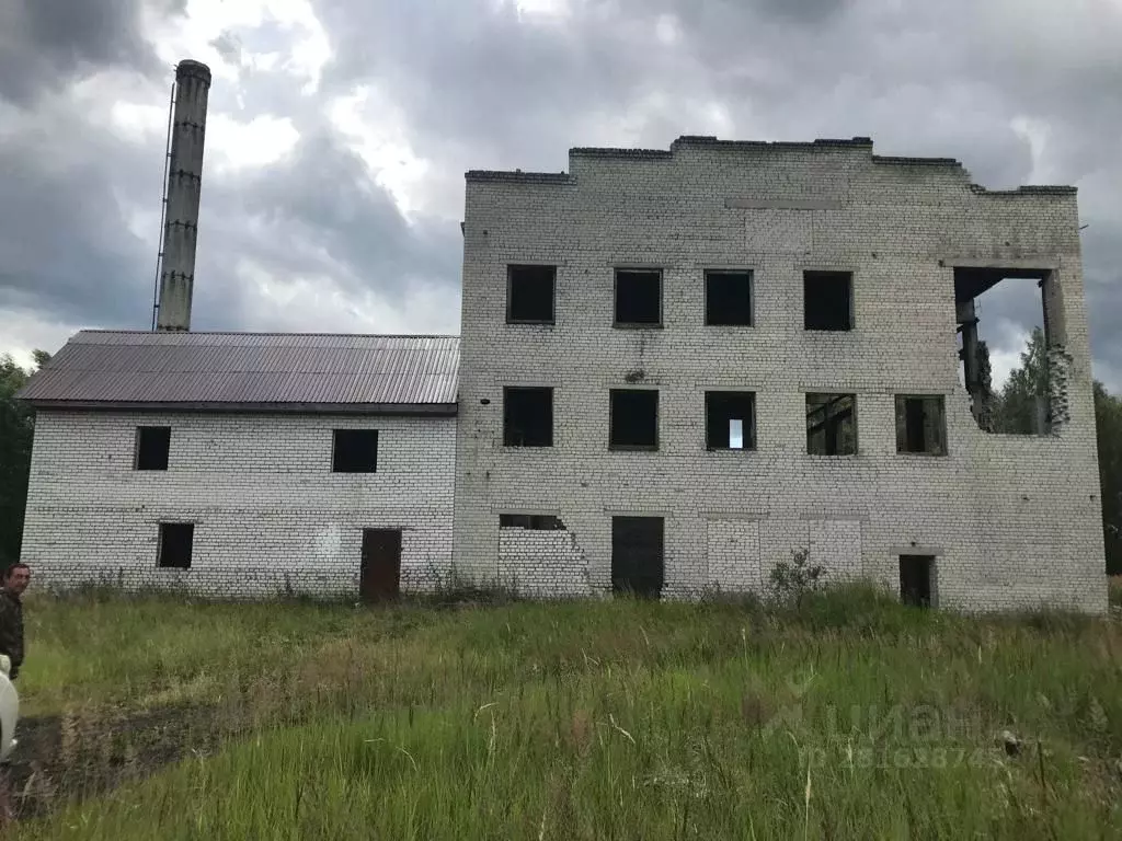 Помещение свободного назначения в Владимирская область, Петушинский ... - Фото 1