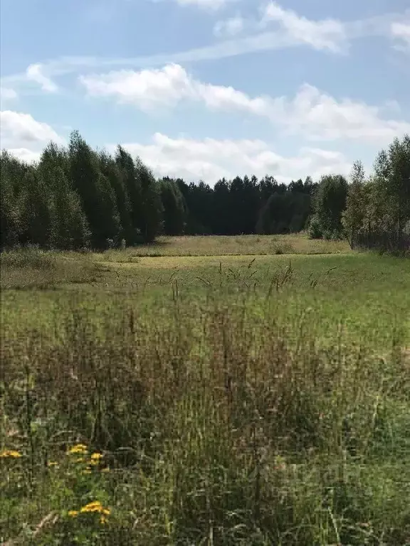 Дом в Нижегородская область, Бор городской округ, д. Кузнечиха  (42 м) - Фото 1