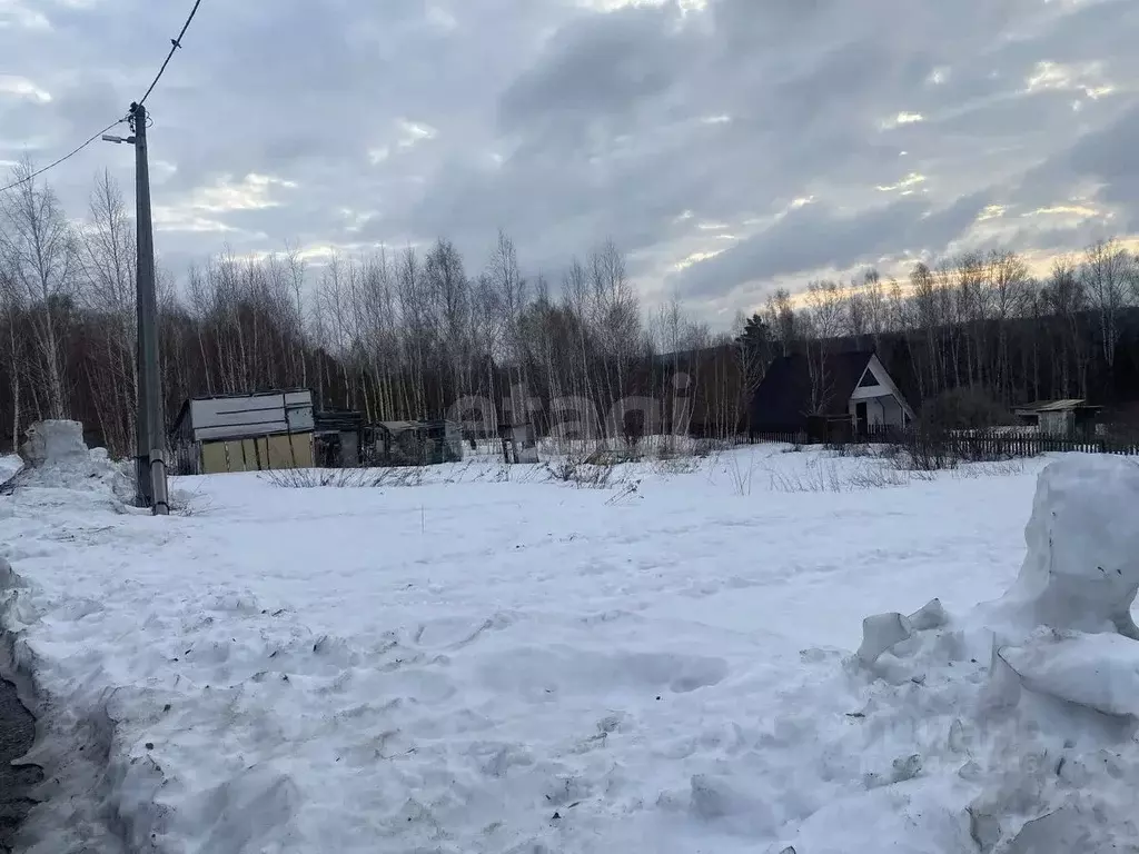 Участок в Томская область, Томск Березка садовое товарищество,  (13.0 ... - Фото 2