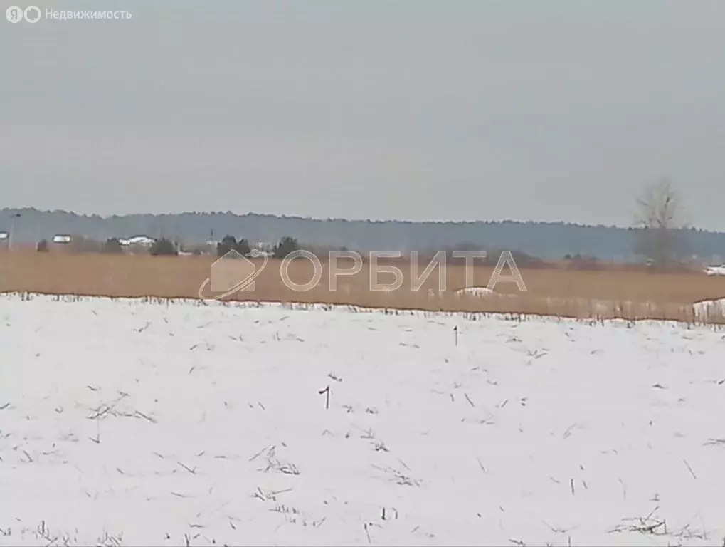 Участок в Тюменский район, село Мальково (8.63 м) - Фото 0