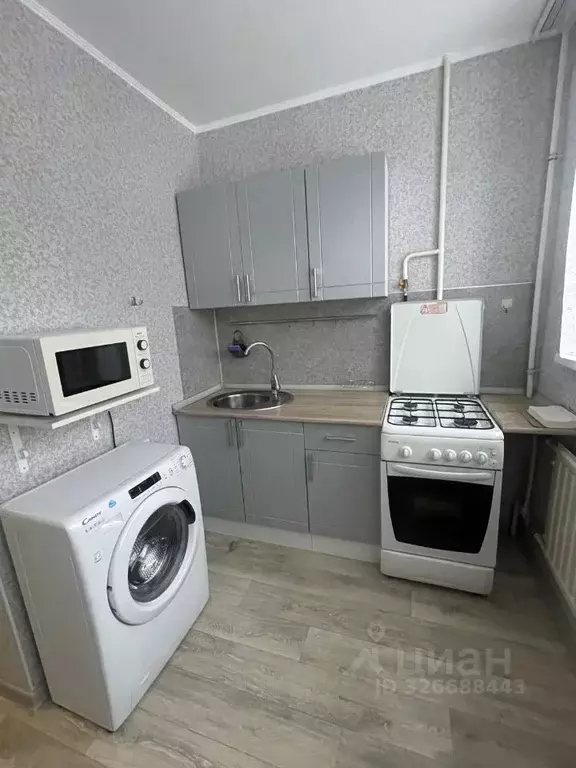 1-к кв. Санкт-Петербург Суздальский просп., 109 (31.0 м) - Фото 1