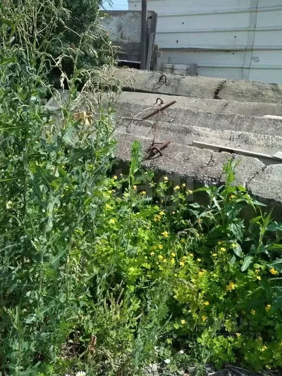 Участок в Алтайский край, Барнаул Аграрный проезд, 40 (5.0 сот.) - Фото 2