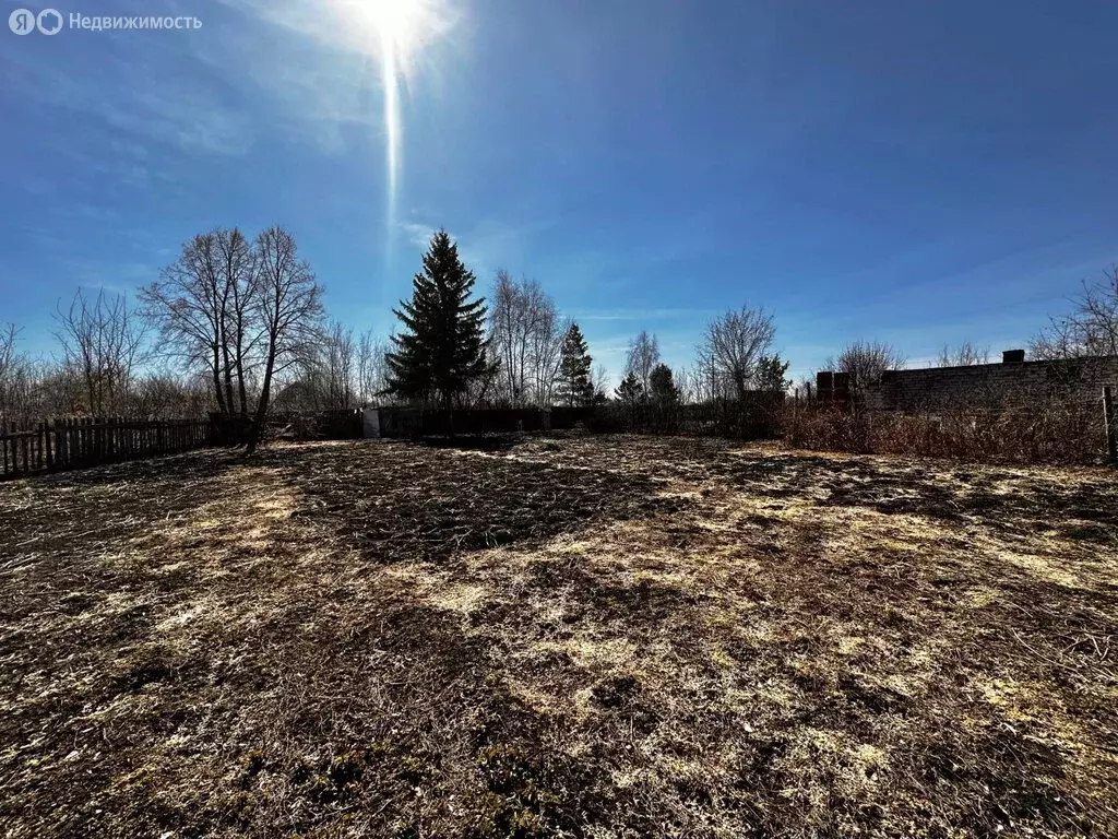 Участок в Тюменская область, Ялуторовский муниципальный округ, деревня ... - Фото 1