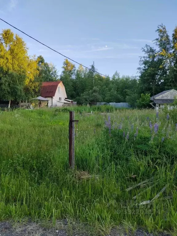 Участок в Московская область, Сергиево-Посадский городской округ, ... - Фото 1