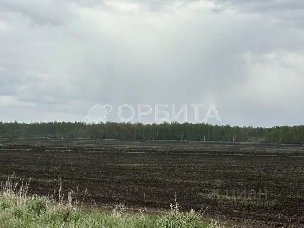 Участок в Тюменская область, Тюменский район, Новокаменский кп  (80.0 ... - Фото 0