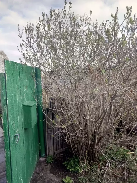 Дом 46,1 м на участке 6 сот. - Фото 1