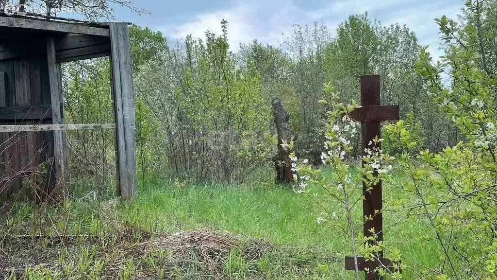 Участок в Луховицы, садовое товарищество Росинка (8 м) - Фото 1