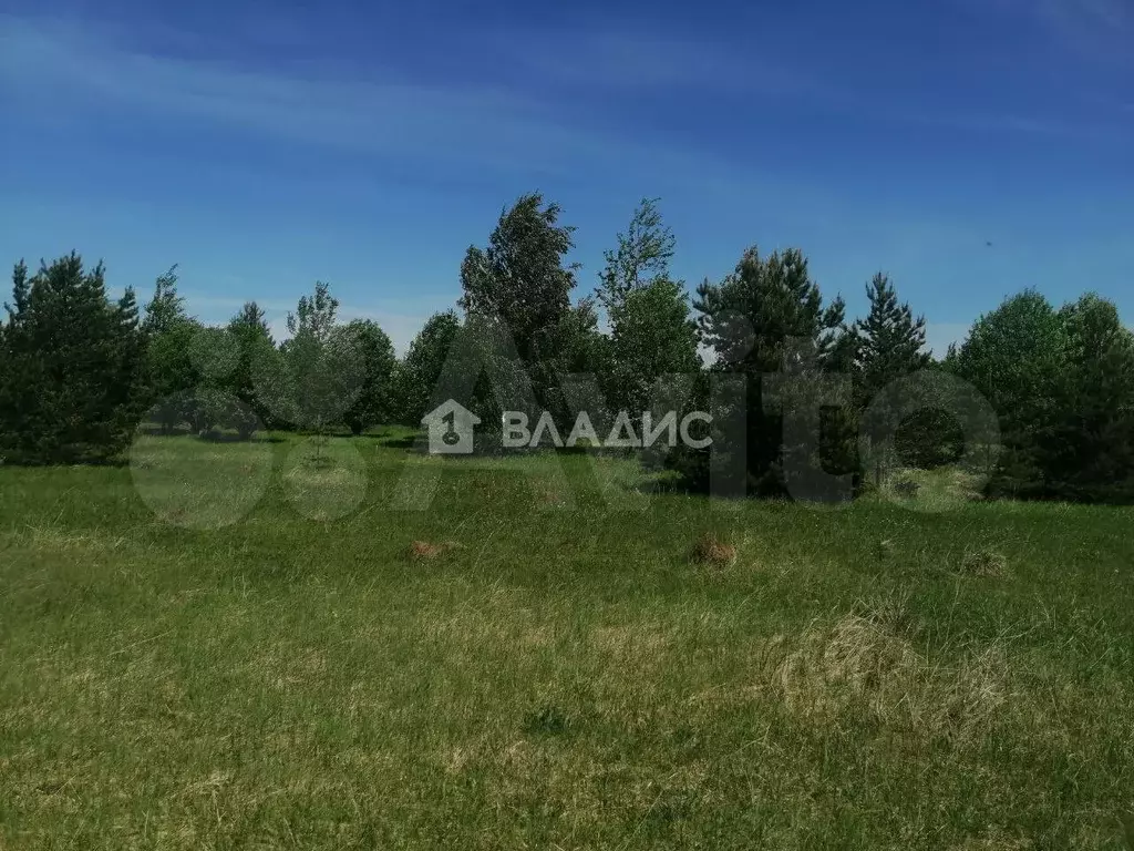Участок 64 га (СНТ, ДНП) - Фото 0