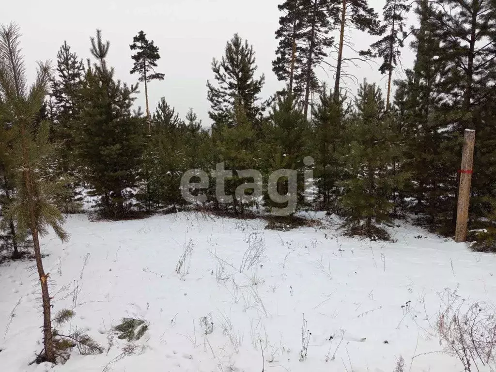 Участок в Бурятия, Улан-Удэ Олимпийский ДНТ,  (5.01 сот.) - Фото 1