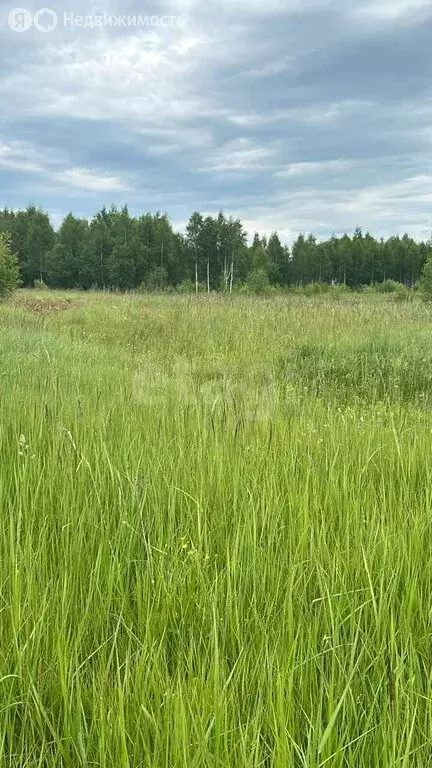 Участок в Нерехта, переулок Кутузова (7.94 м) - Фото 2