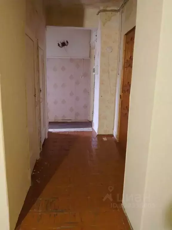 Комната Московская область, Раменский муниципальный округ, Быково пгт ... - Фото 2