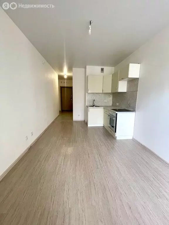 Квартира-студия: Анкудиновка, Русская улица, 3 (24 м) - Фото 1
