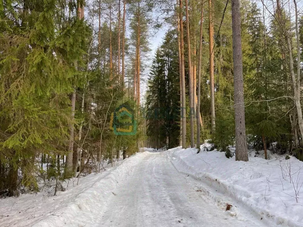 Участок в Ленинградская область, Всеволожский район, Куйвозовское ... - Фото 2