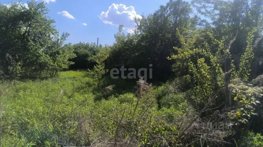 Участок в Брянская область, Брянск Надежда садоводческое товарищество, ... - Фото 0