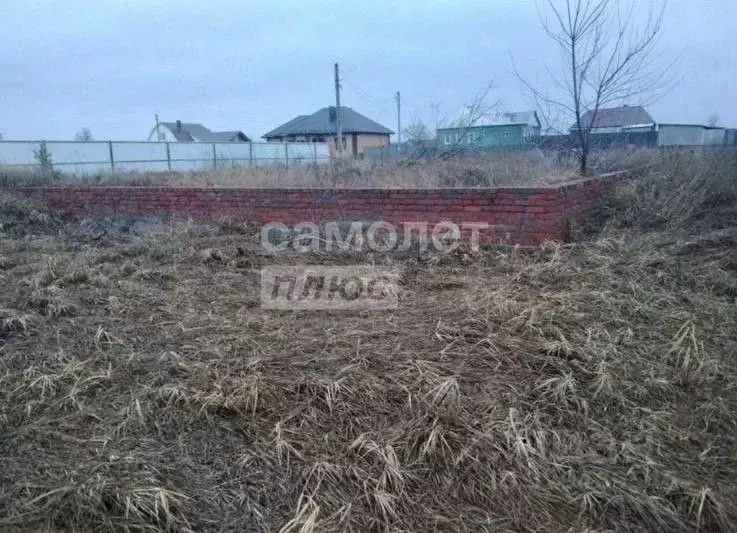 Участок в Курская область, Курский район, Лебяженский сельсовет, д. ... - Фото 2