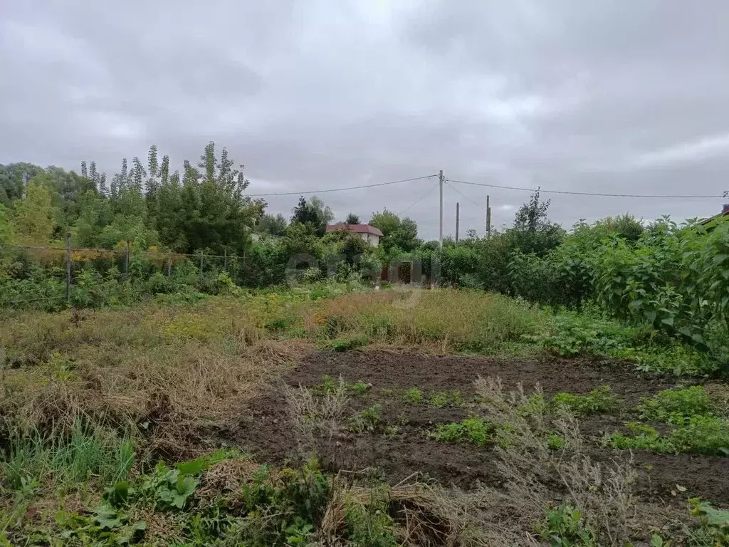 Участок в Орловская область, Орловский муниципальный округ, Импульс ... - Фото 2