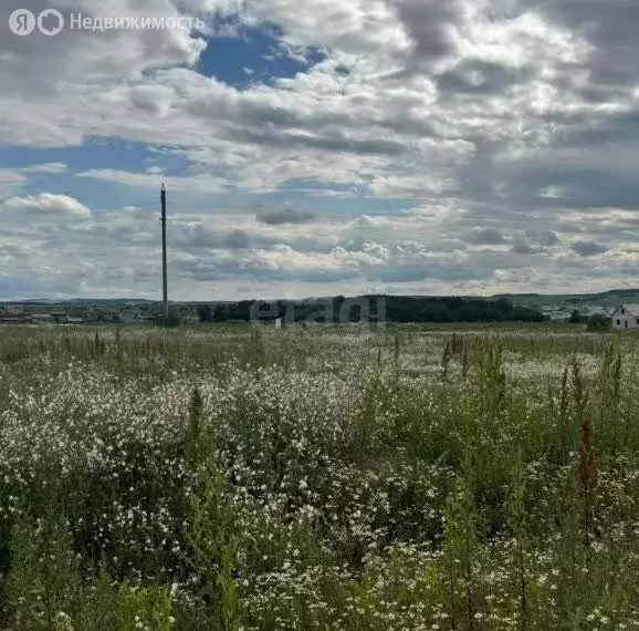 Участок в Пермский муниципальный округ, деревня Болдино, Ореховая ... - Фото 1