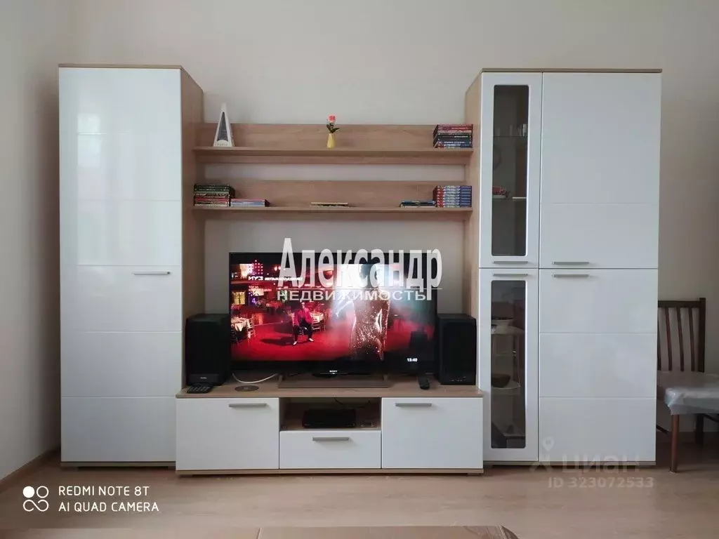 Студия Ленинградская область, Всеволожский район, д. Новое Девяткино ... - Фото 0