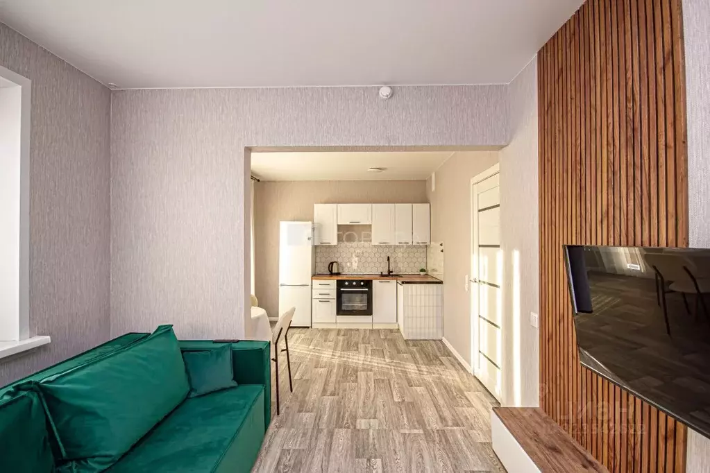 Студия Новосибирская область, Новосибирский район, Станционный ... - Фото 2