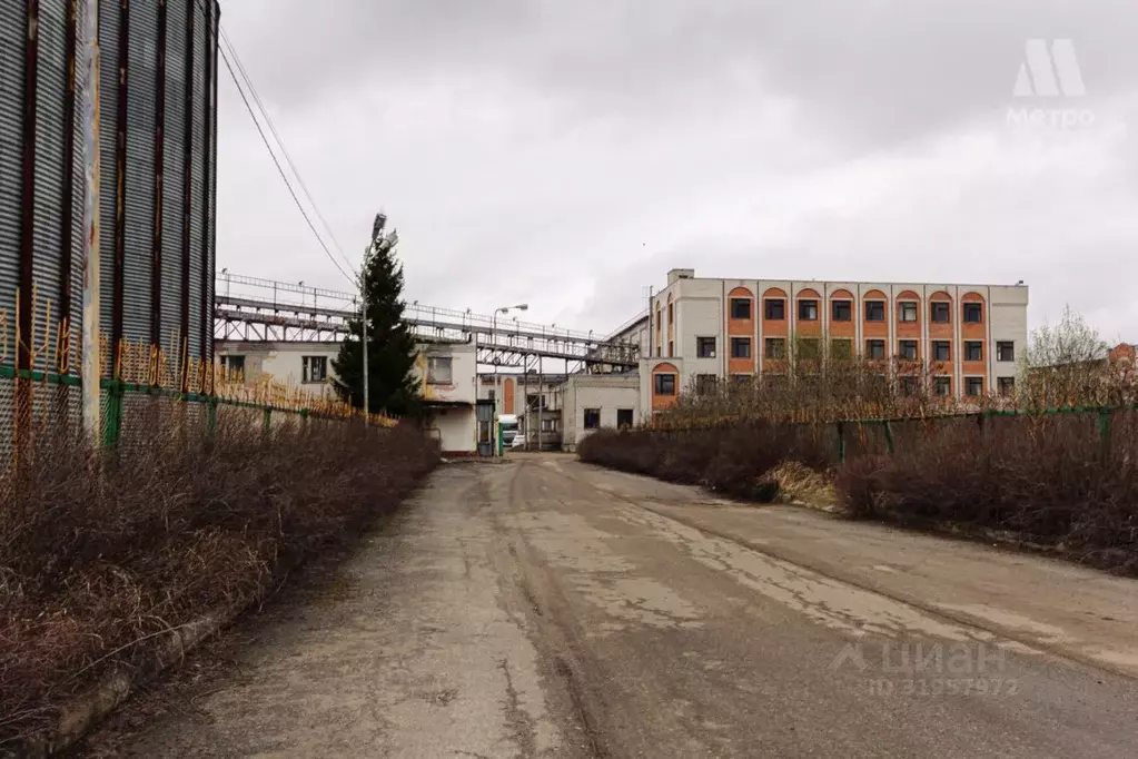 Помещение свободного назначения в Ярославская область, Ярославль ул. ... - Фото 1