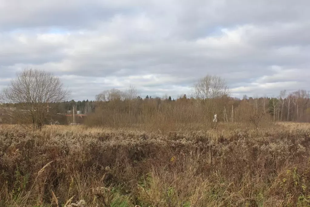 Участок в Москва д. Кузнецово, 91 (12.23 сот.) - Фото 2